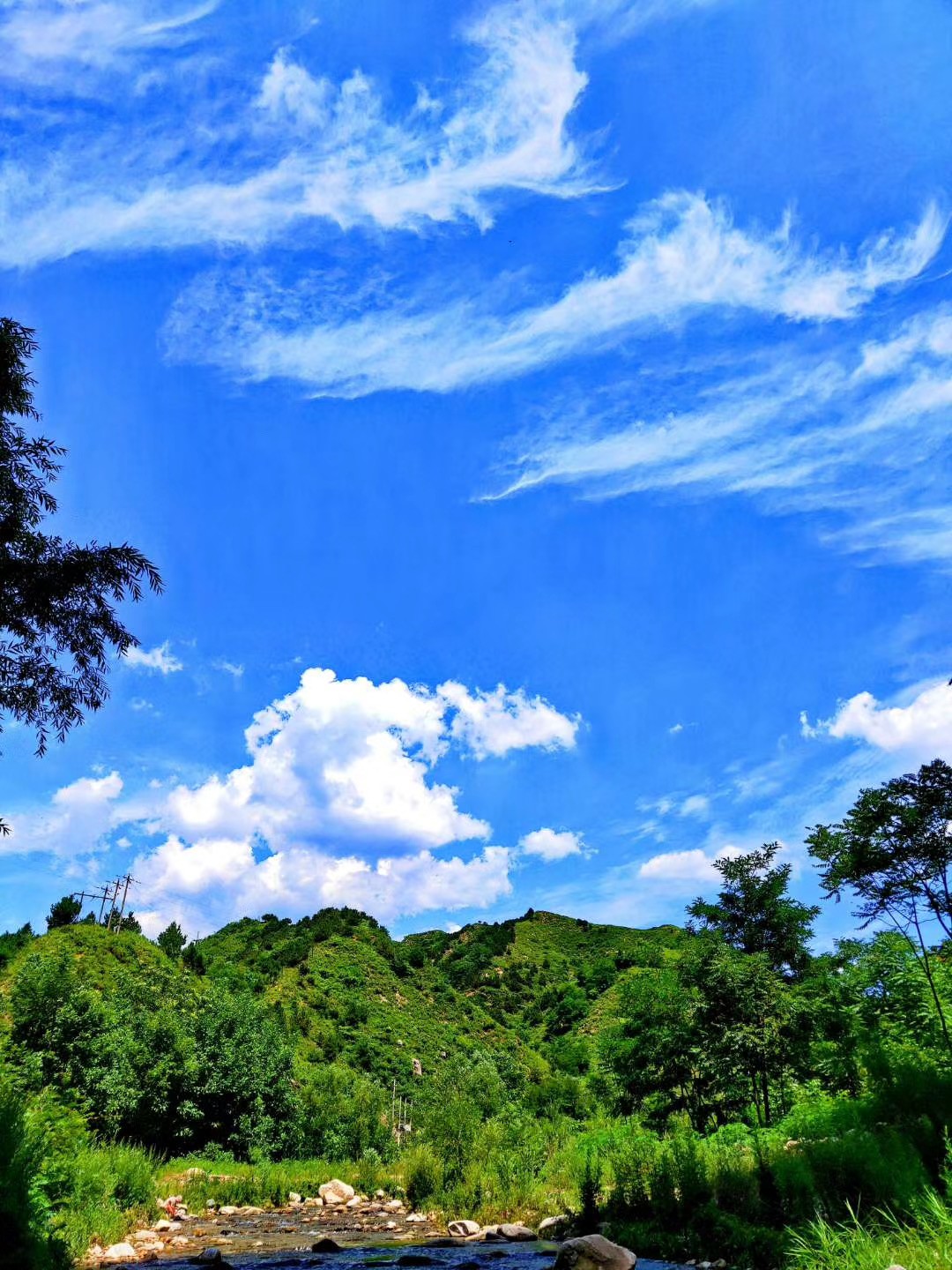 微信圖片_20200513143047