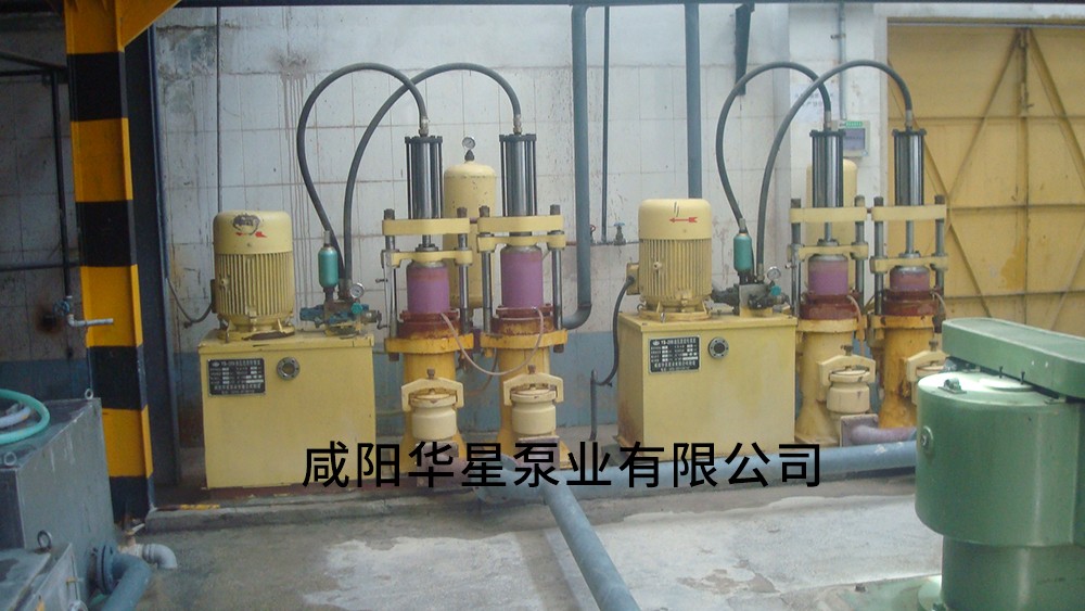 西安電瓷廠-進(jìn)料泵
