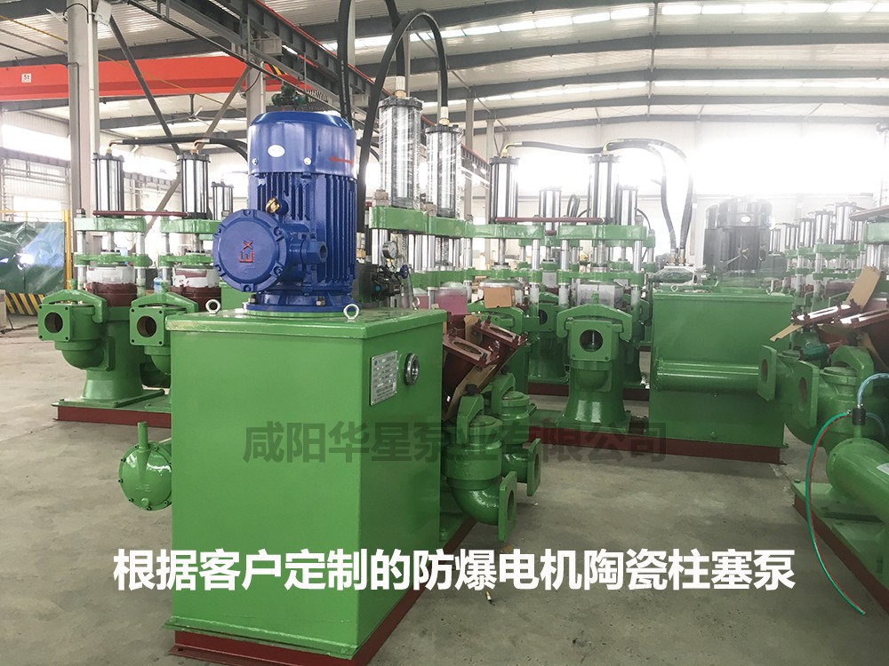 防爆電機(jī)陶瓷柱塞泵